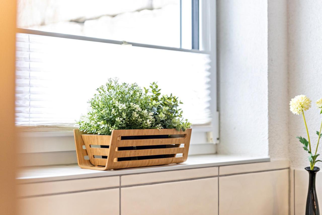 Ferienwohnung Alpenblick 즈비팔텐 외부 사진